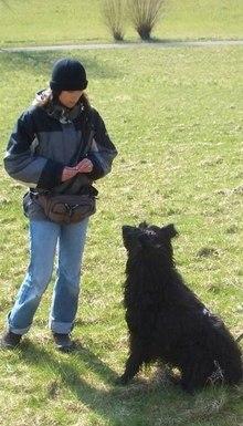 Hundeschule EIN STARKES TEAM in St. Ingbert / Saarland