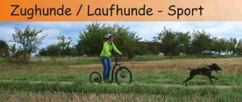 Zughunde Saarland