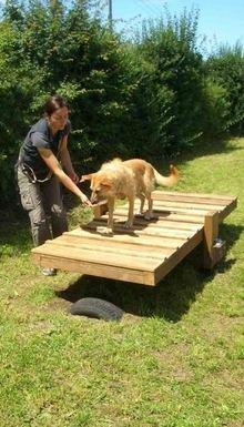 Hundeschule EIN STARKES TEAM in St. Ingbert / Saarland