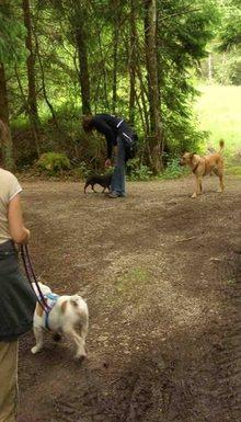 Hundeschule EIN STARKES TEAM in St. Ingbert / Saarland