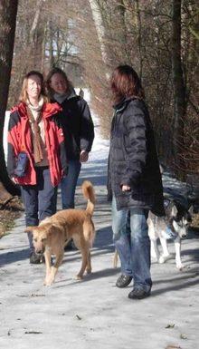 Hundeschule EIN STARKES TEAM in St. Ingbert