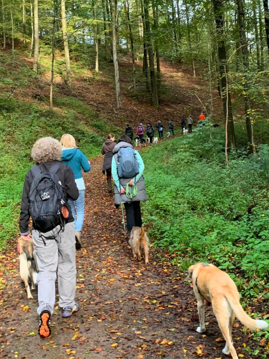 wanderung-1