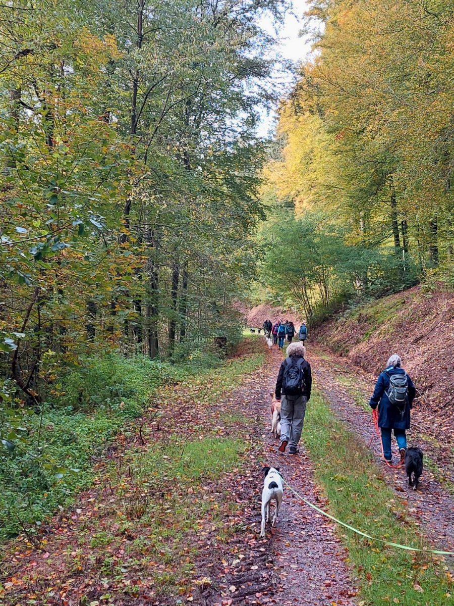 wanderung-2