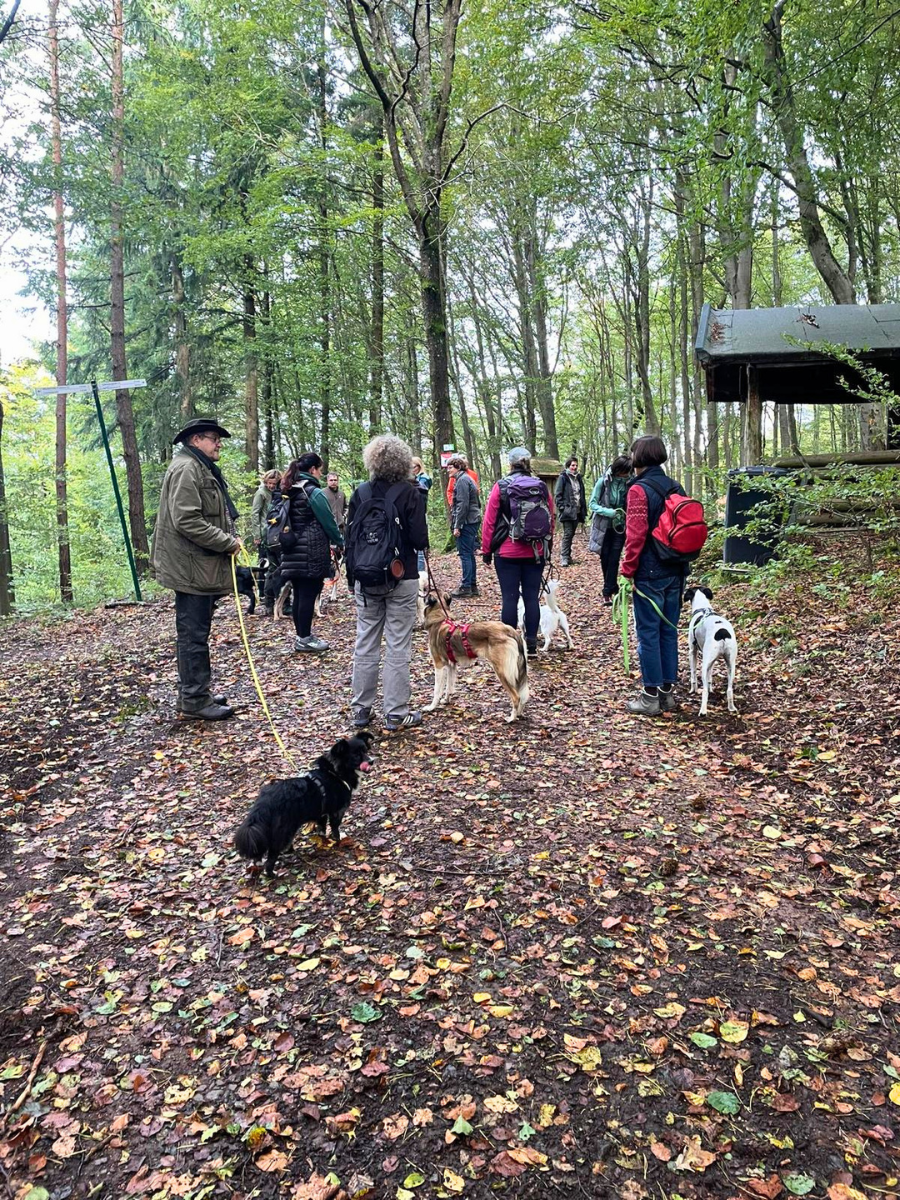 wanderung-3