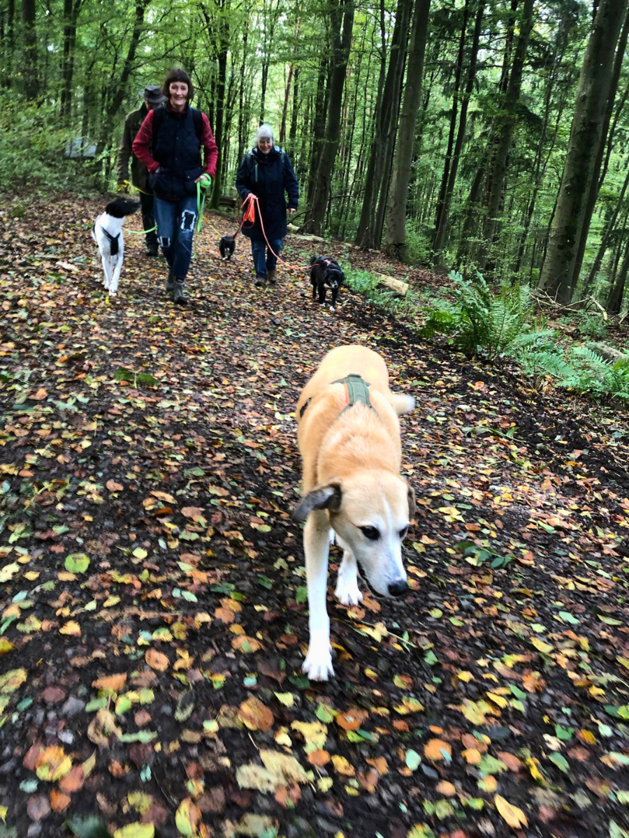 wanderung-4
